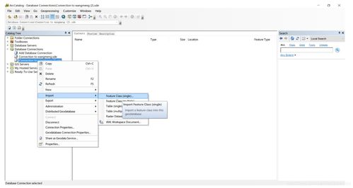 在ArcMap中发布要素图层服务及将SQL Server数据库升级为地理数据库